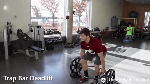 trap bar deadlift