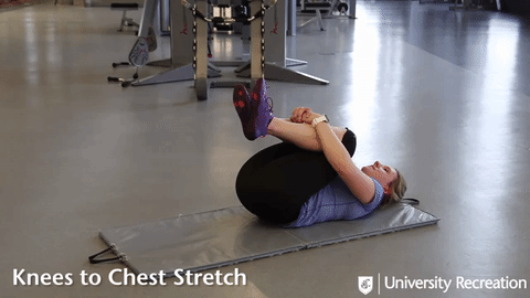 knees to chest stretch