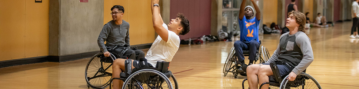 Accesability Banner Image