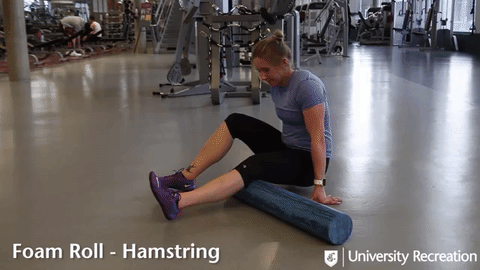 foam roll - hamstring